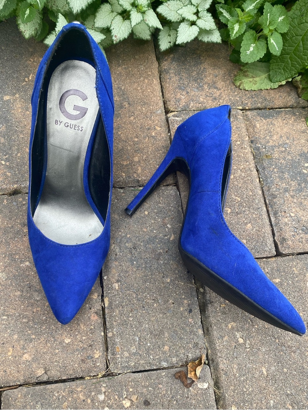 G by Guess Royal Blue Suede Pointed-Toe Pumps, Size 8 Summer Sale